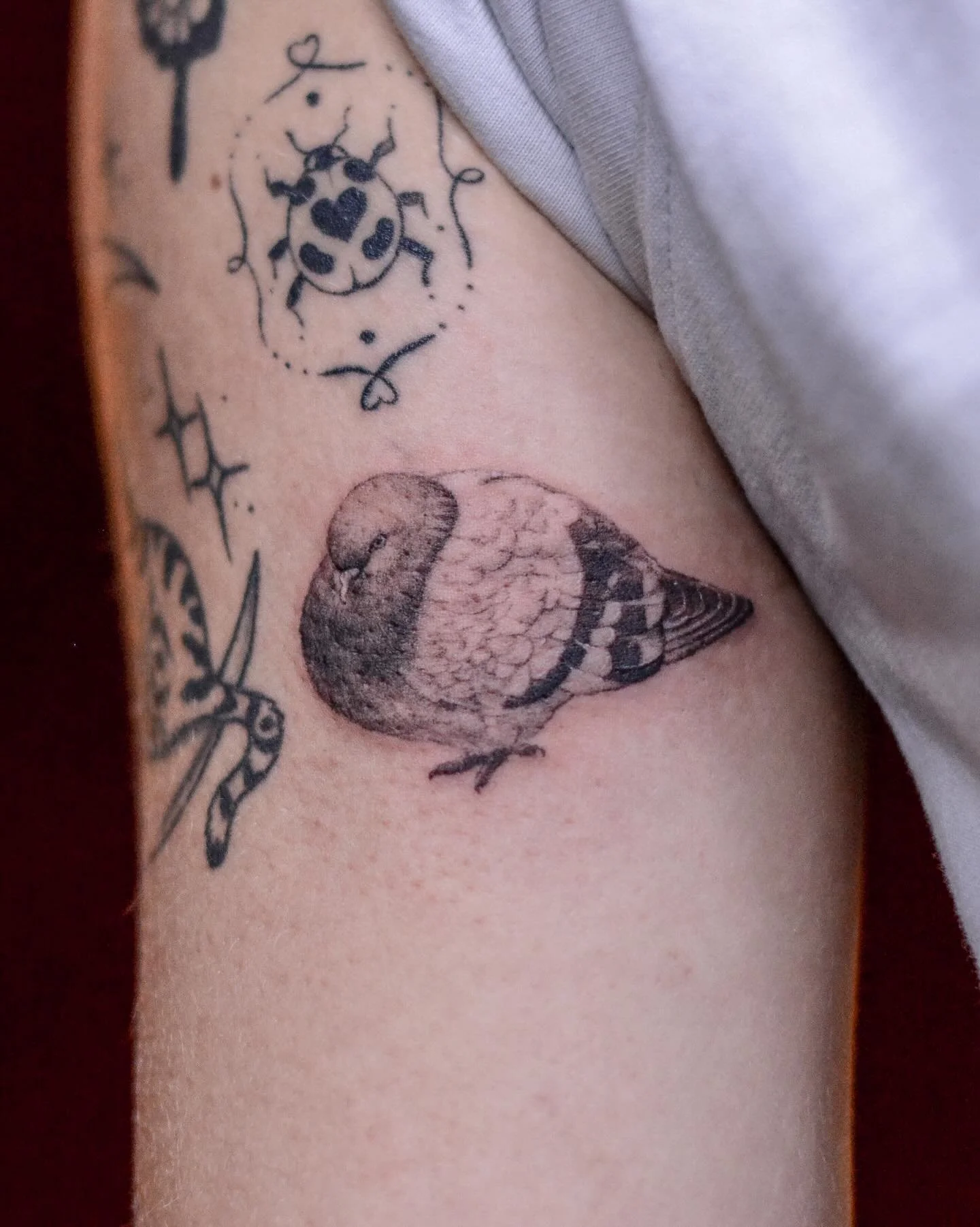 🕊️🗽- booking link is in my bio. 
.
.
.
#tattoo #tattoonyc #pigeon #birdtattoo #nyc