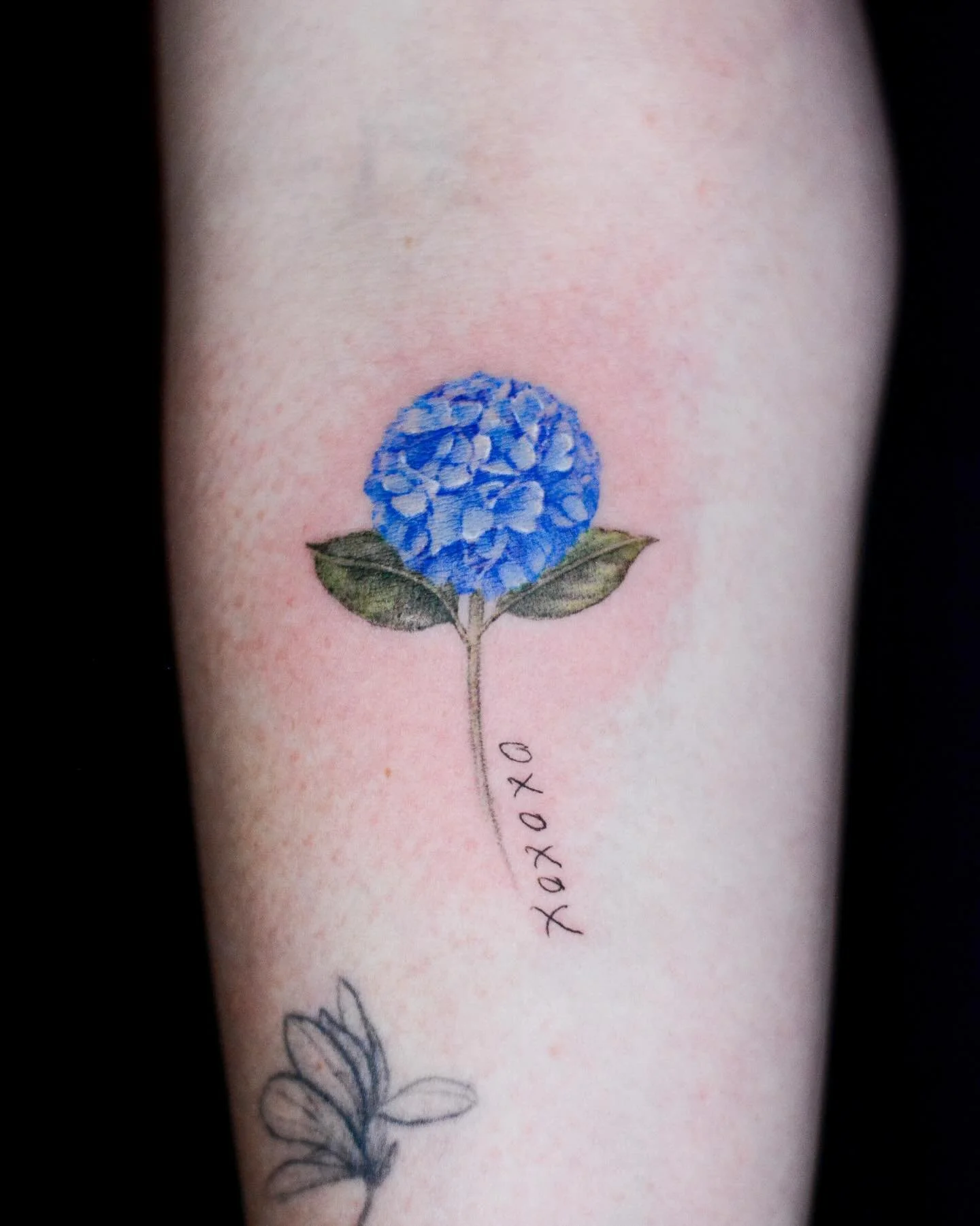 💐 Hydrangea with her mom&rsquo;s handwriting- booking link is in my bio. 
.
.
.
#hydrangea #flowertattoo #lettering #tattoo #memories