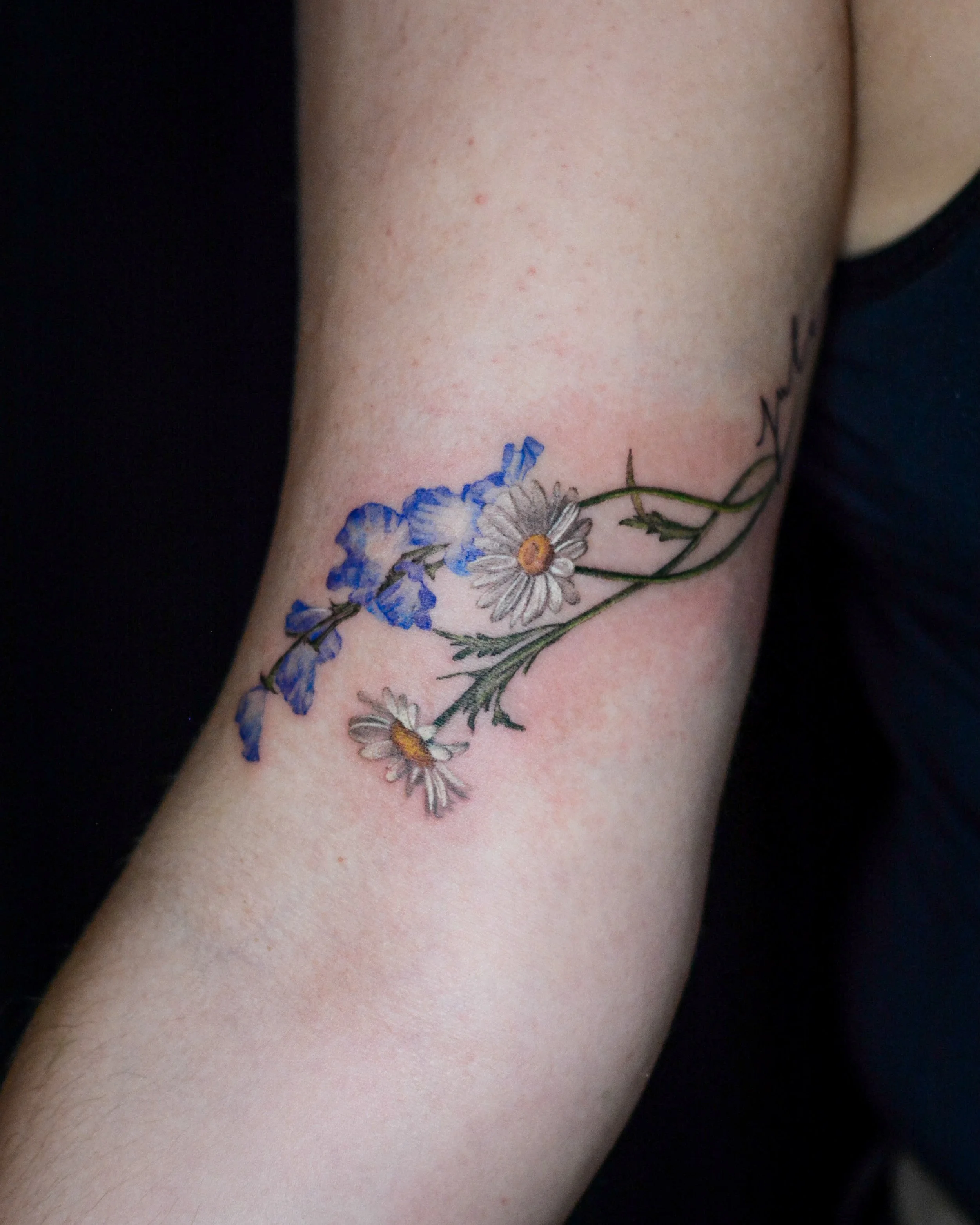 🌼🪻- booking link is in my bio. 
.
.
.
#daisy #flowertattoo #lettering #tattoo #tattoonyc