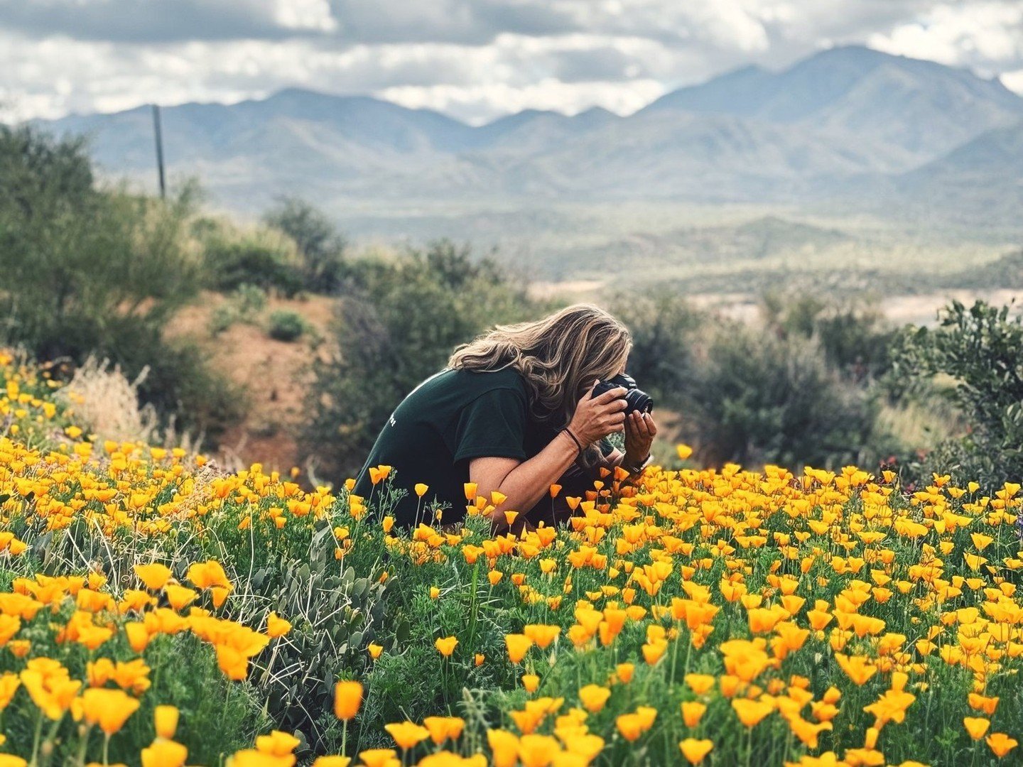 Exploring the vibrant hues of spring in the Southwest at Bartlett Lake, Scottsdale, AZ. 🌸🌵 

From delicate wildflowers to striking cacti, each bloom tells a unique story of resilience and beauty. I love sharing with all of you glimpses of this vibr