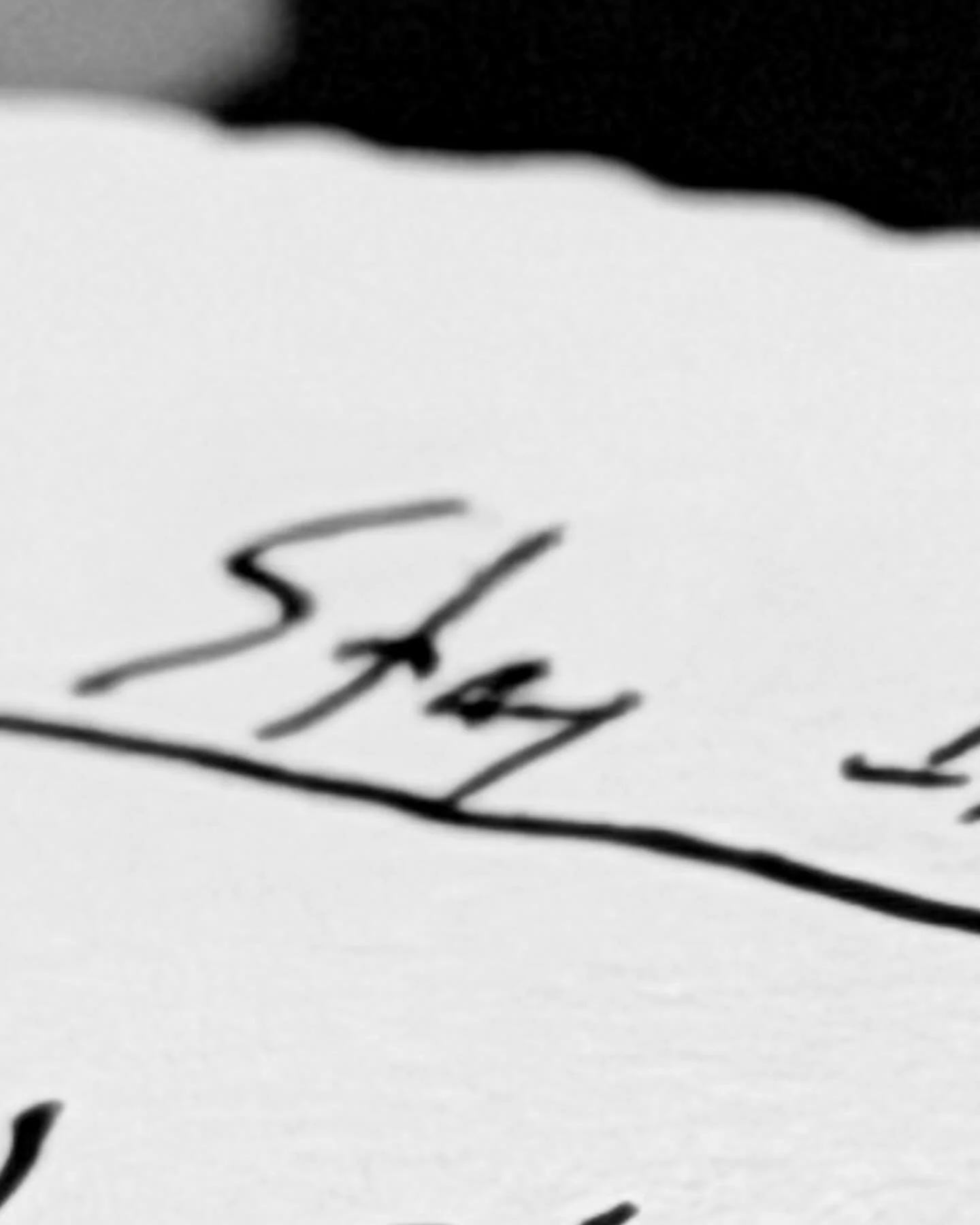 A little peek behind the frequency&hellip; the sounds, colors, and chaos that have been inspiring me lately. More coming soon. #piranhablonde #newera