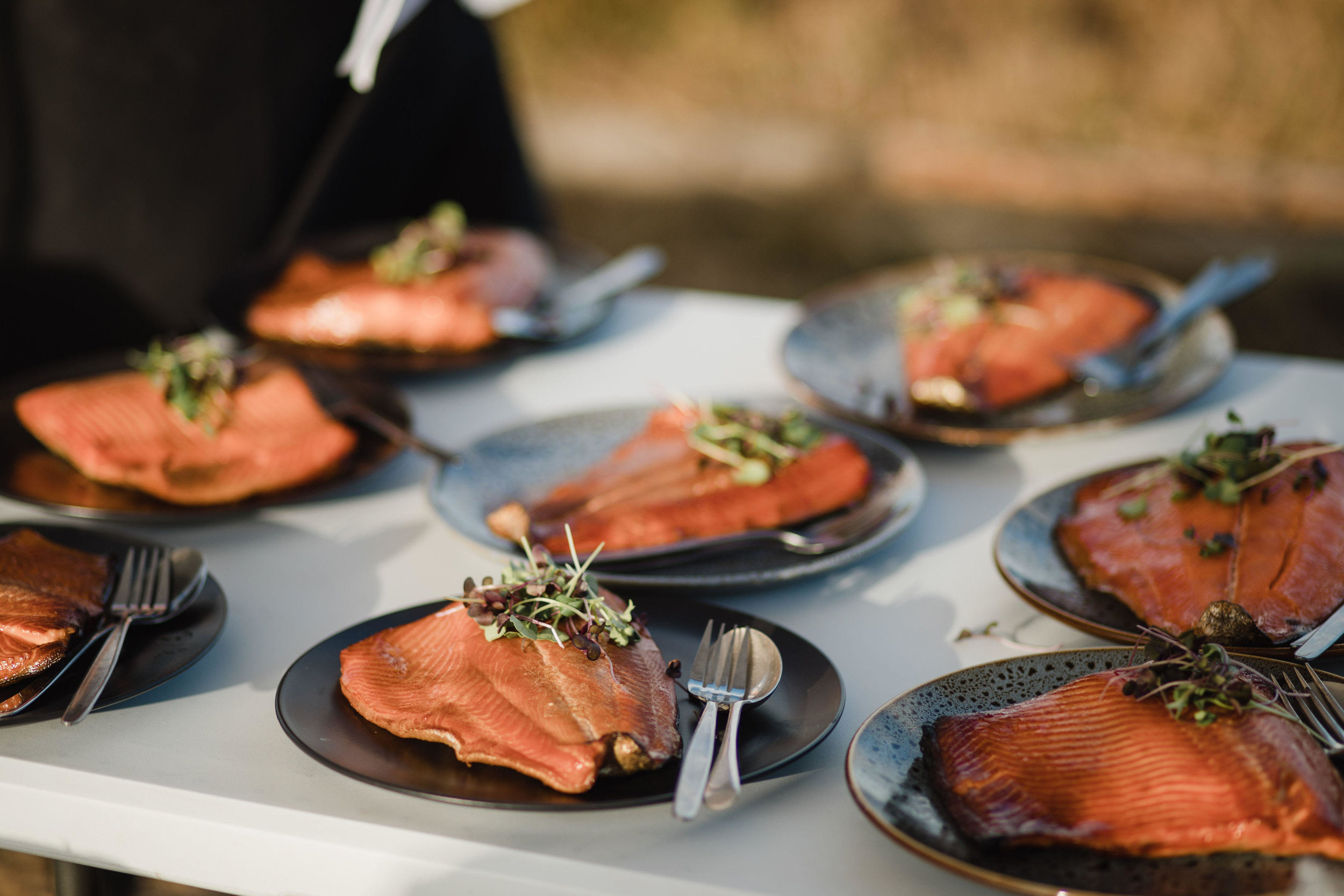 salmon-plates-5.jpg