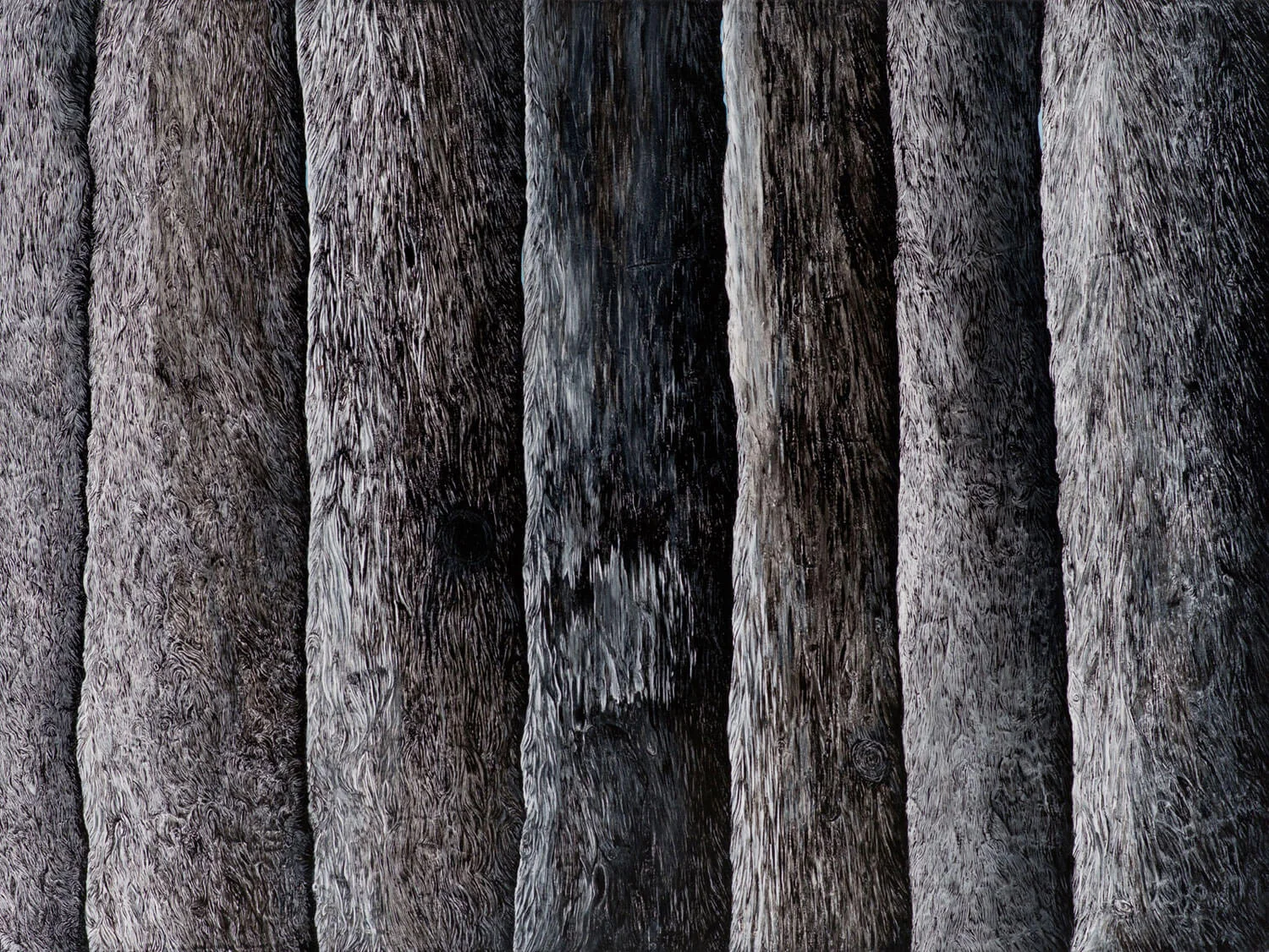 Forest, 2013
