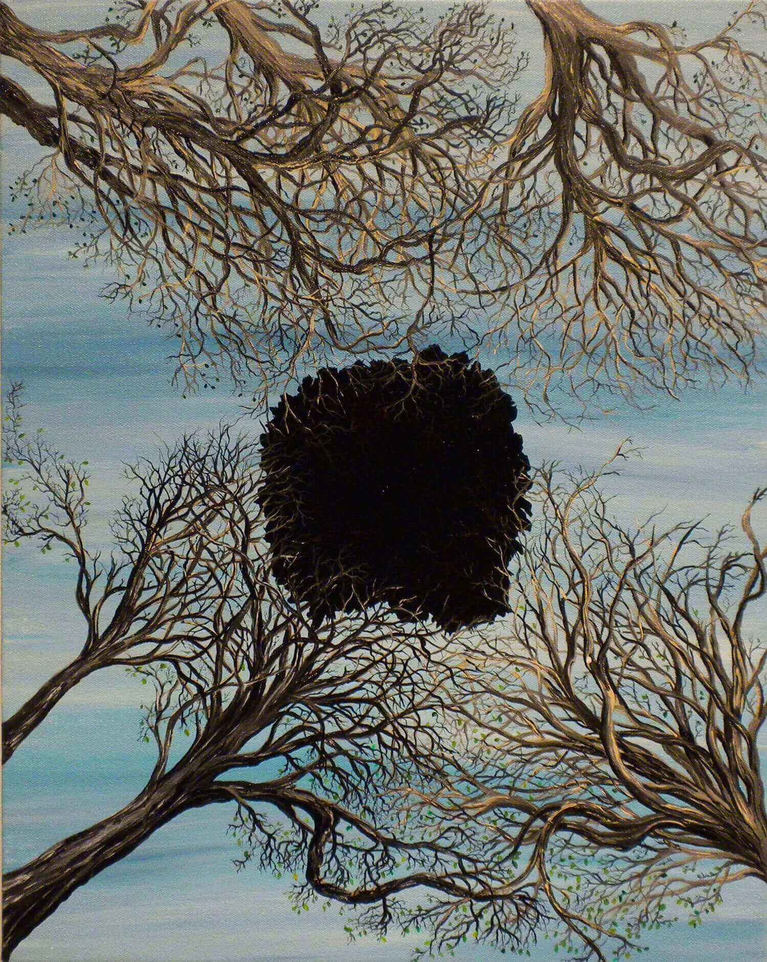 Black Hole, 2019