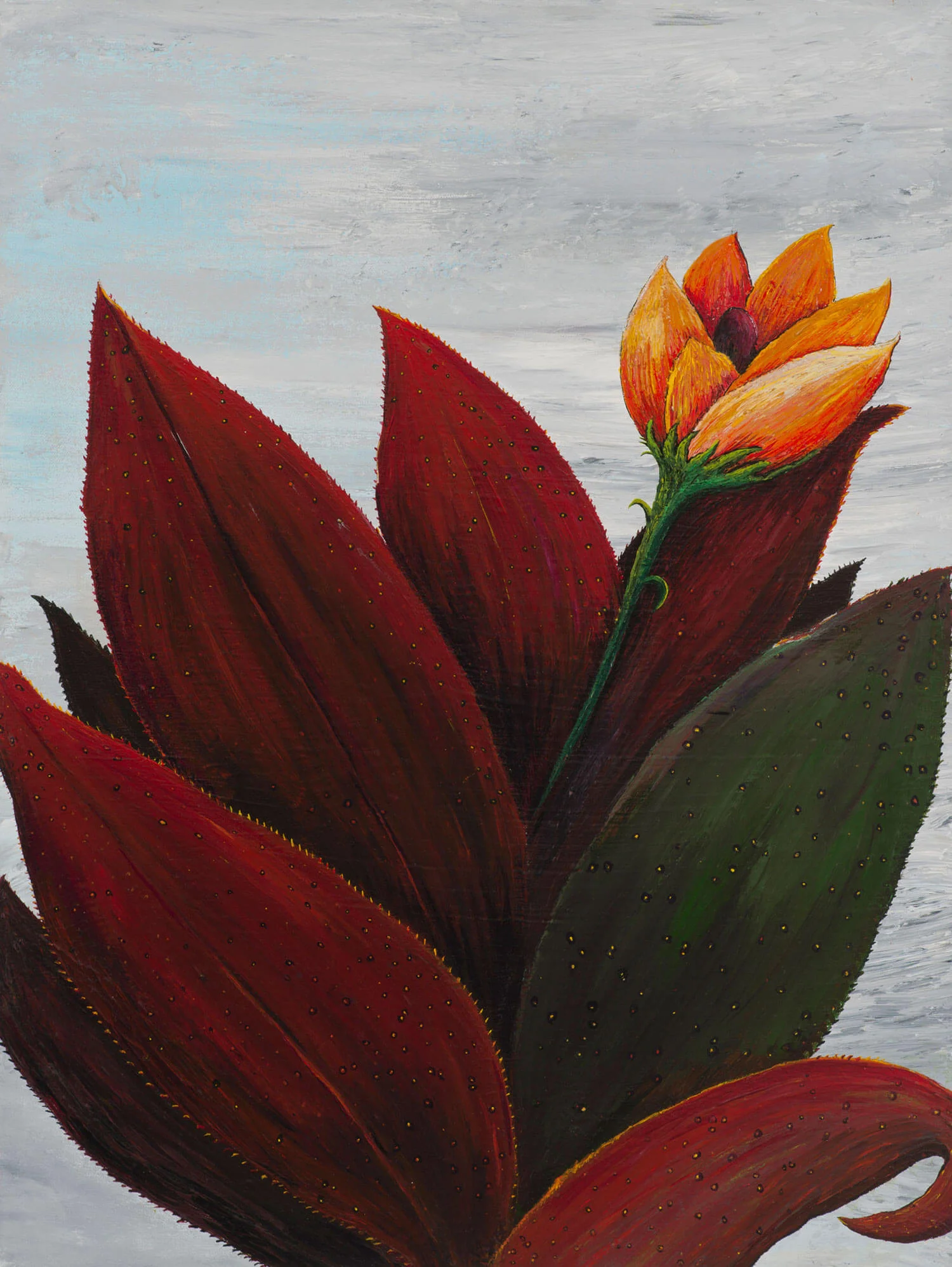 Cactus Flower, 2013