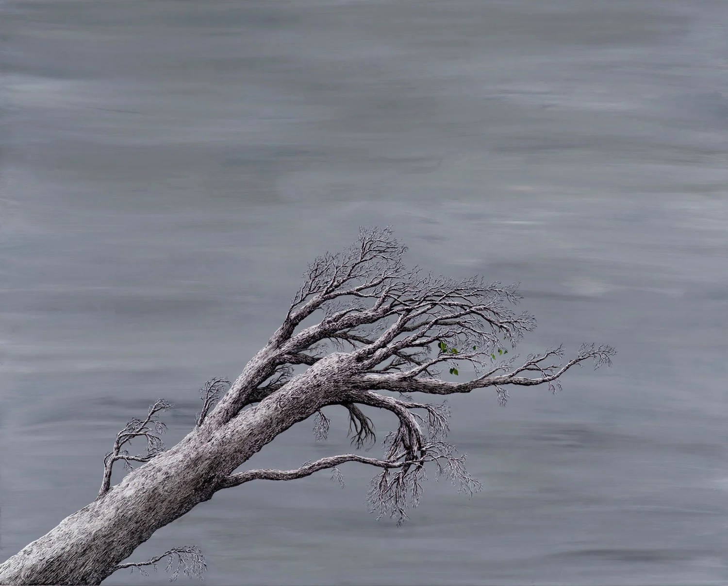 roxene-rockwell-Untitled-tree-with-leaves--40-x-50-inches.jpg