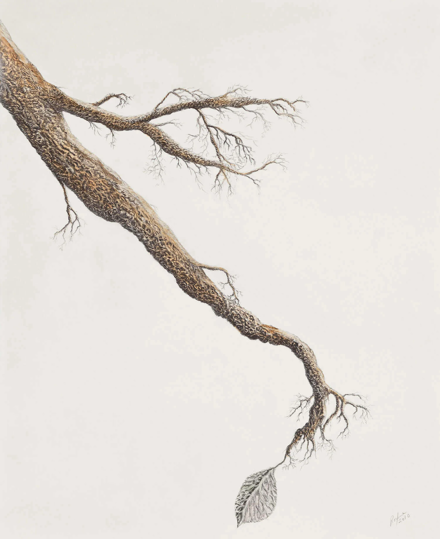 Tree Branch #6, 2010