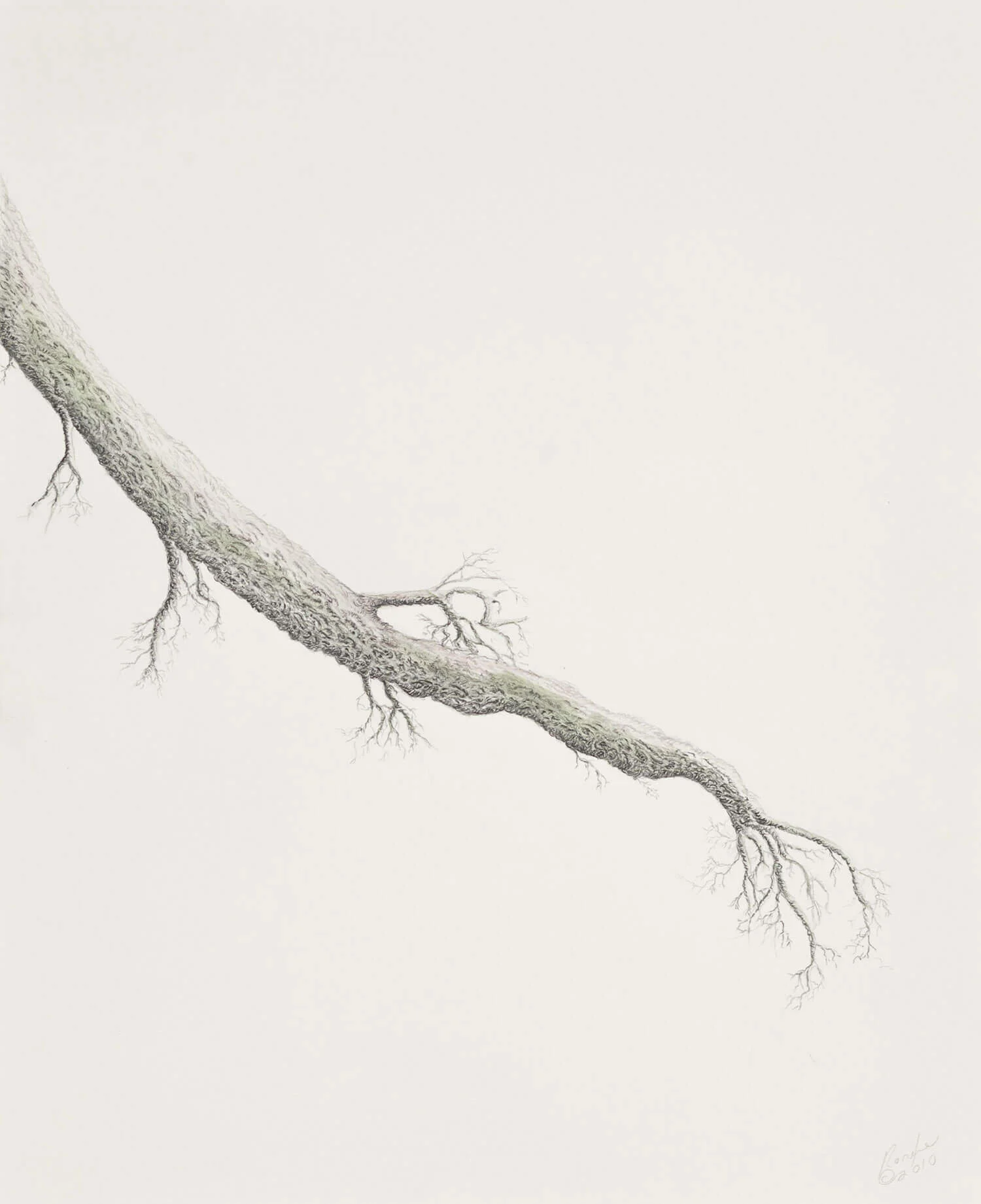 Tree Branch #1, 2010