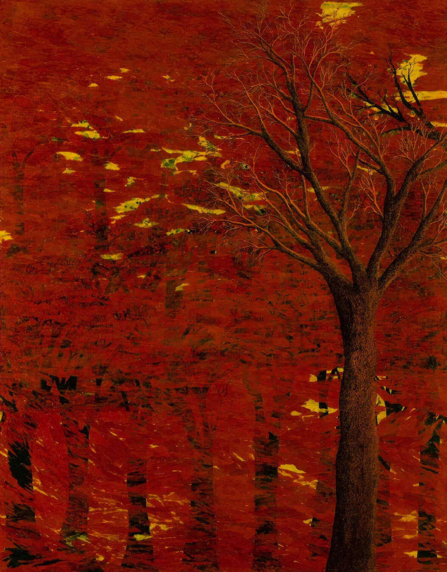 Tree Shadows #4, 2007