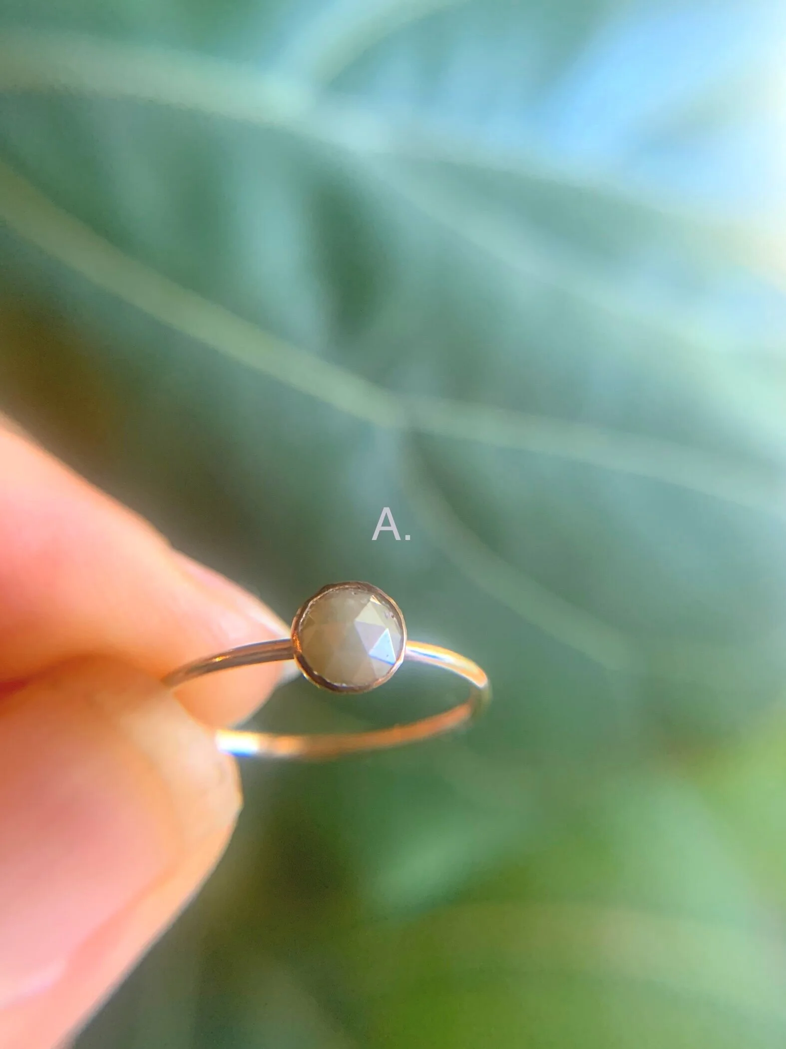 4DE1CF79-C21C-4B8E-8620-C16F89D10050