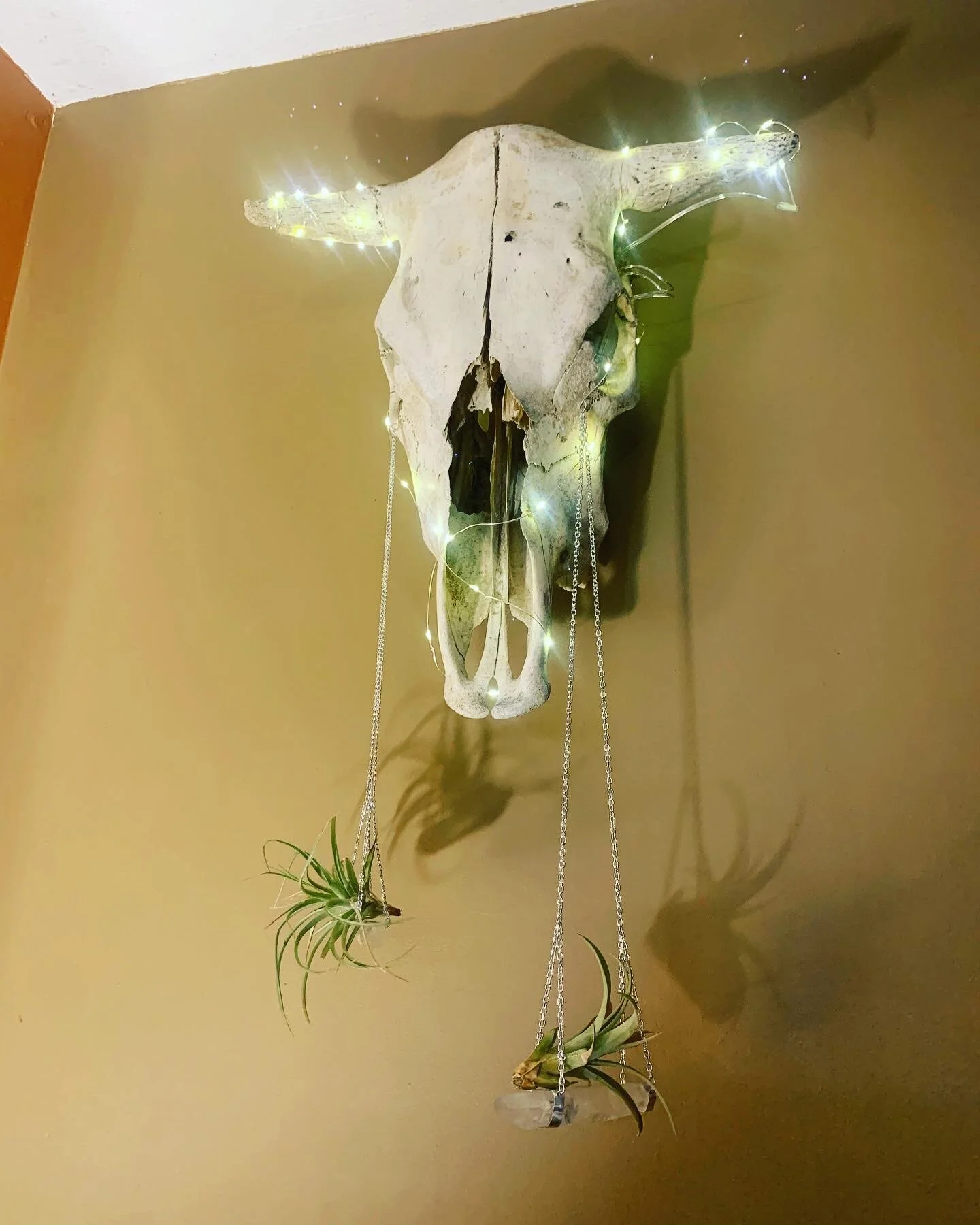 0F82391C-A76E-4982-90ED-B679B58DE1DF