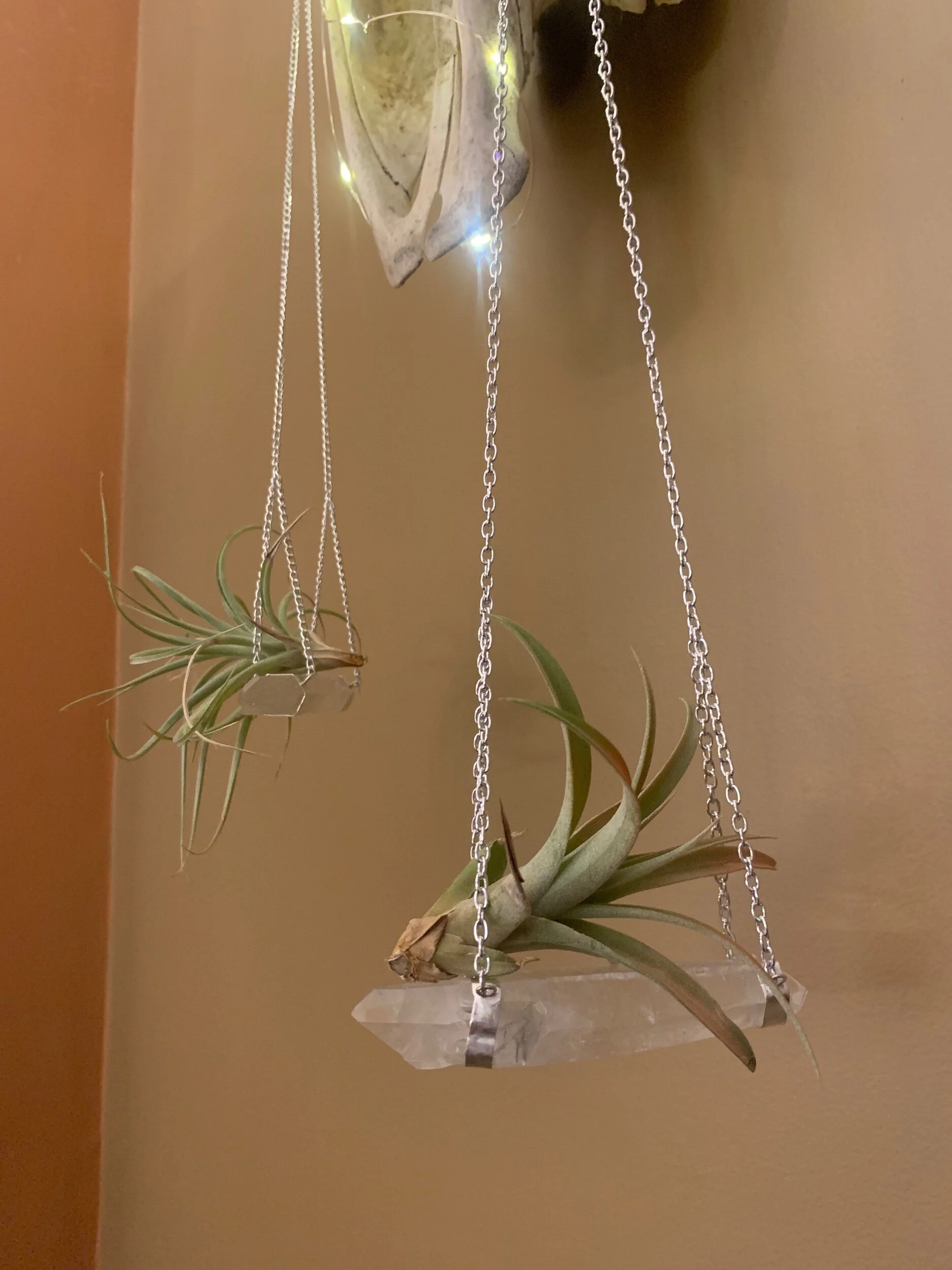 5EAA232E-F4FB-4BCA-A10E-7AA087A7432A