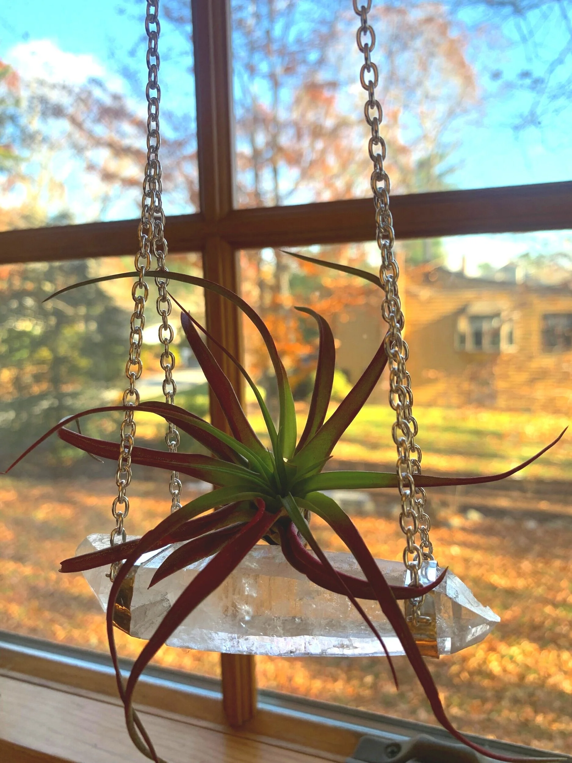 360E5A57-9AFA-4E02-A423-32AB5E42536C