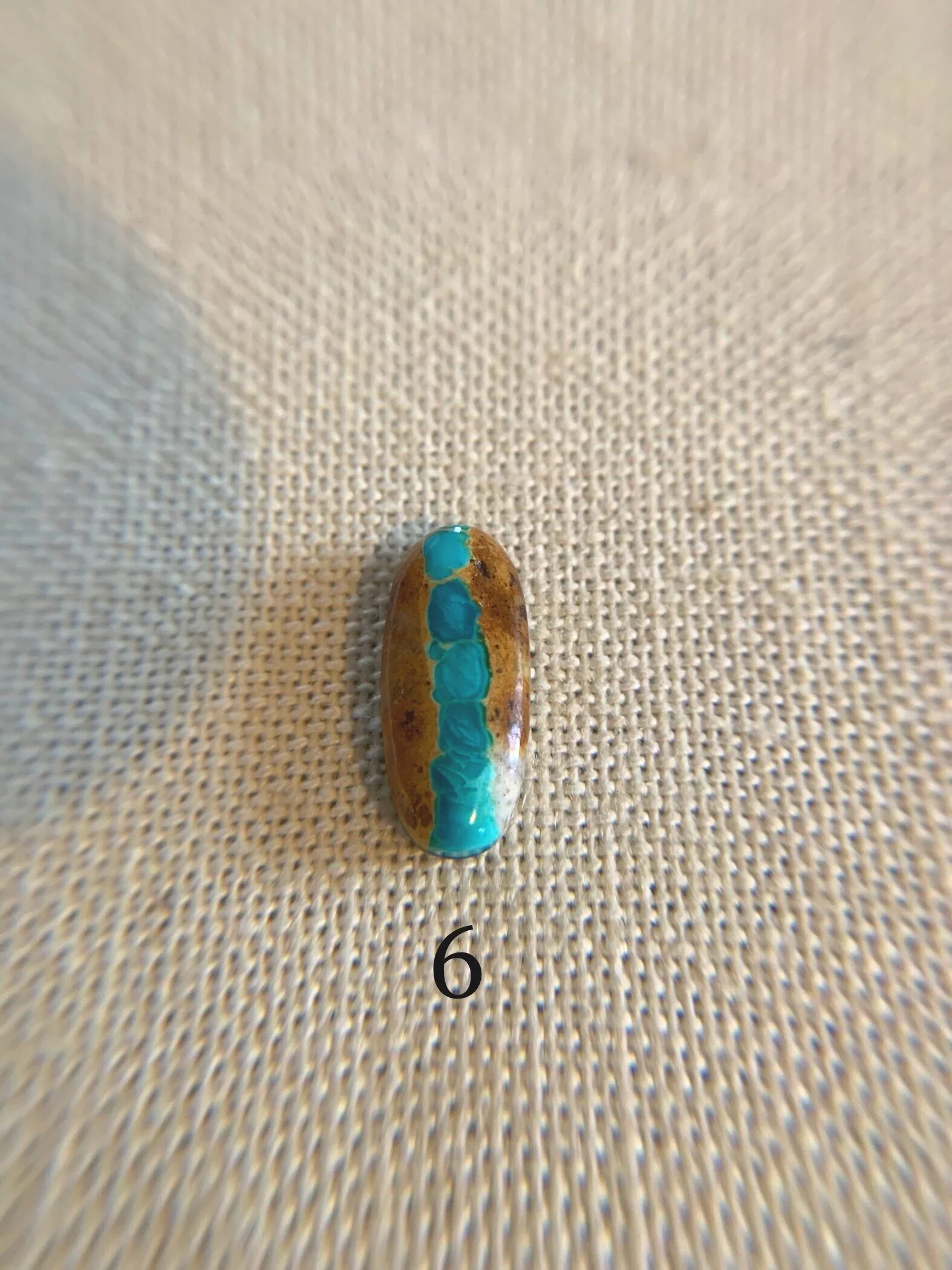 E012E2F6-EA59-44E5-A027-3045203D2EE9
