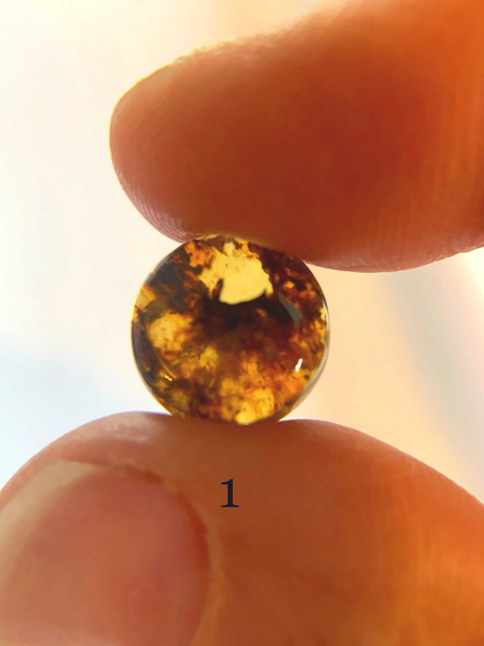 BFC86CA3-381B-46A0-A3E8-0747290A3F2D