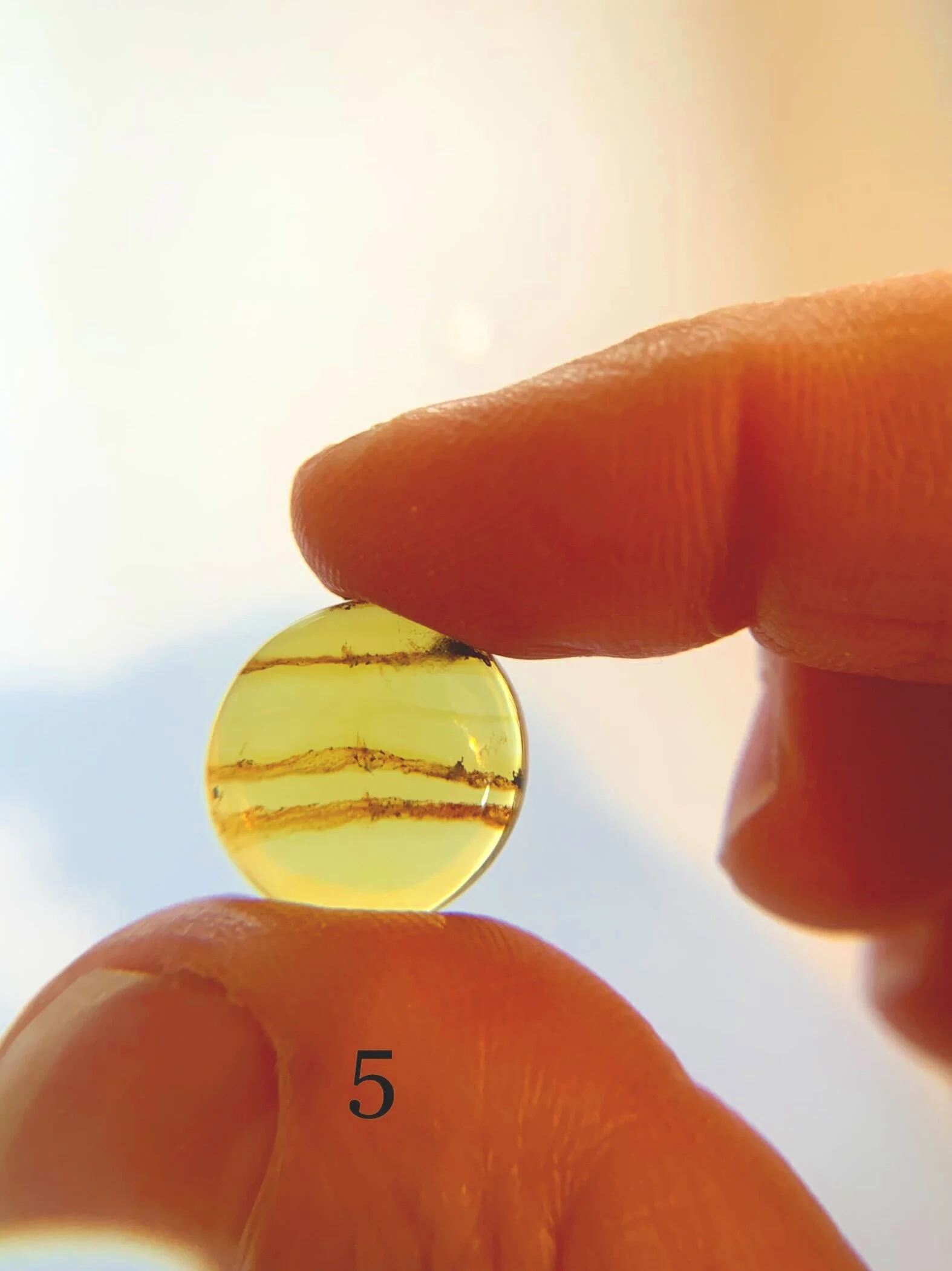 85D641EC-E561-45E7-ADA9-1B7FA853F7EB