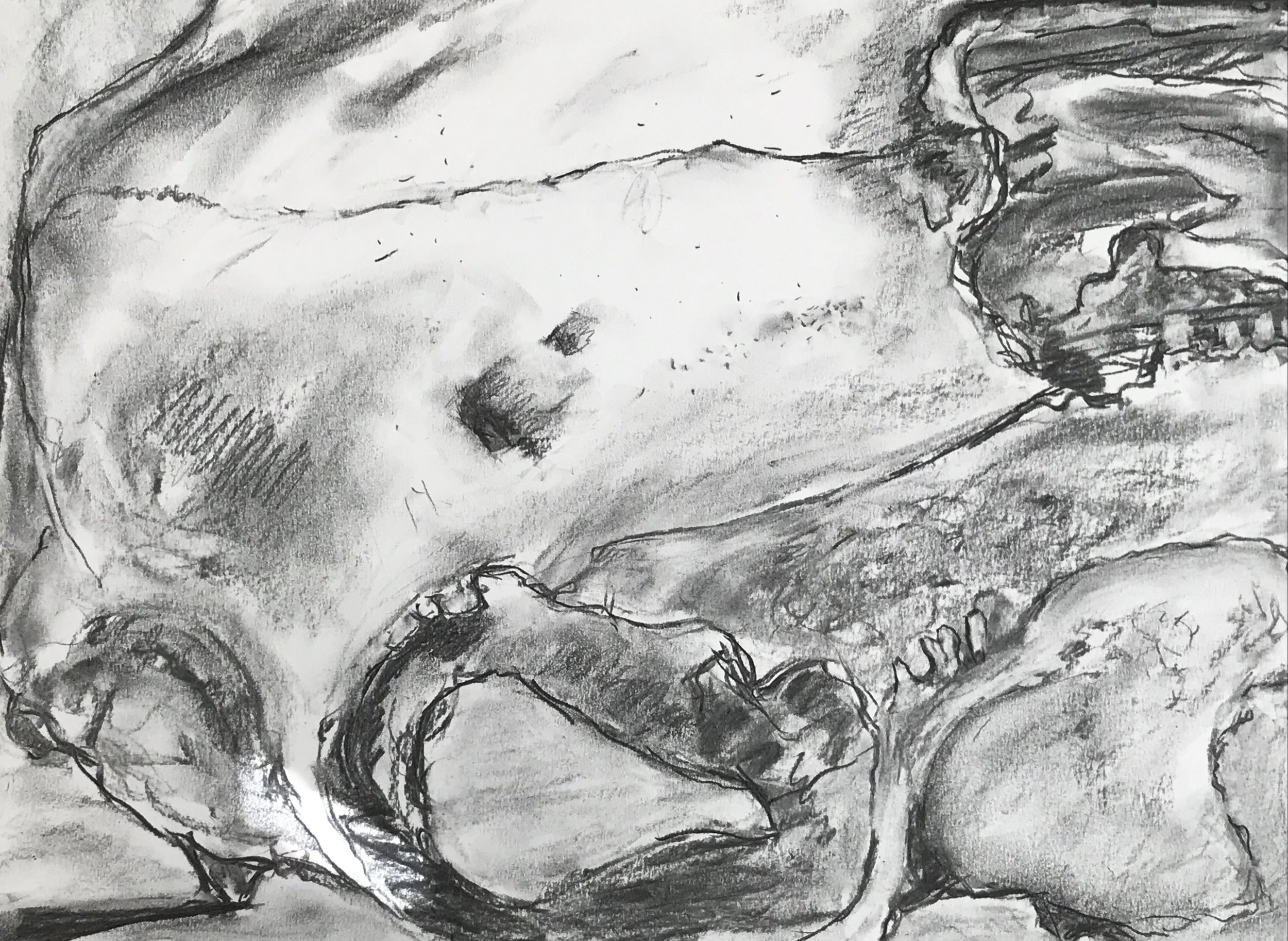 Skull Sketch #1 (2025)