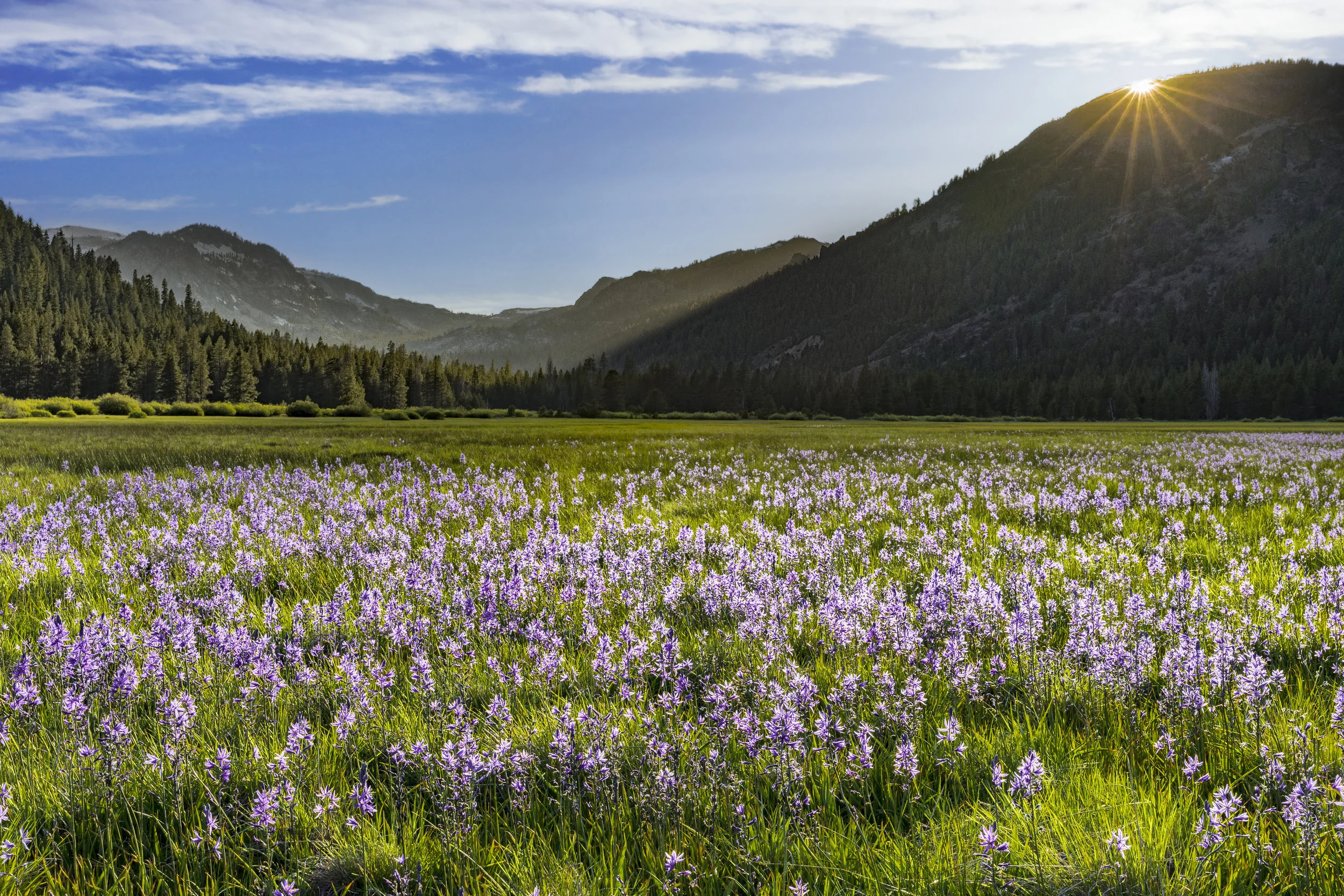 Protecting Open Space Since 1990