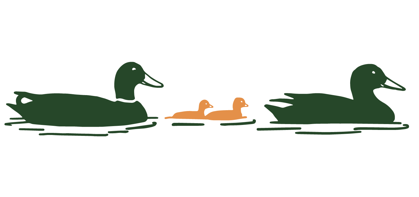 tdlt-conservationv3png.png