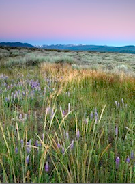 GET TO KNOW A LAND TRUST PROPERTY WITH A HIKE AMBASSADOR