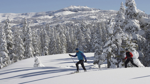 WINTER ADVENTURES AWAIT!