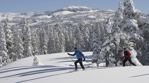 WINTER EXCURSION: DONNER SUMMIT CANYON
