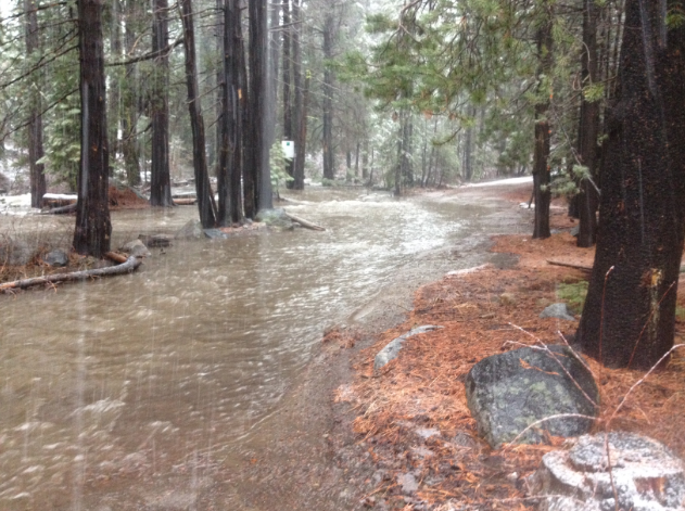 FLOODING IN TRUCKEE