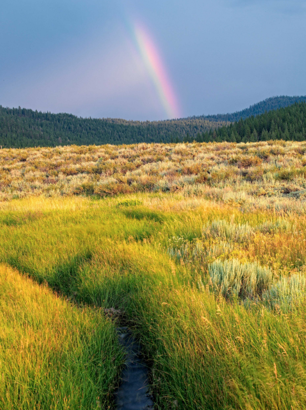 GO TAKE A HIKE...IN MARTIS VALLEY!