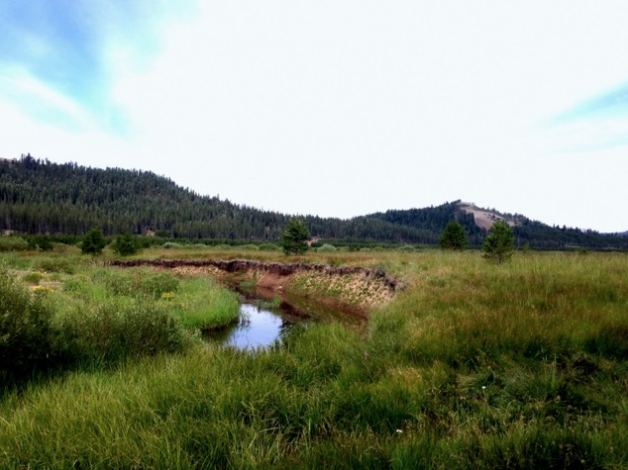 VAN NORDEN MEADOW UPDATE