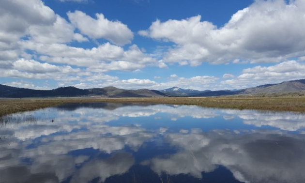 ENJOY SPRING IN THE SIERRA VALLEY!