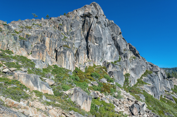 TEMPORARY PEREGRINE FALCON CLOSURE ON BLACK WALL