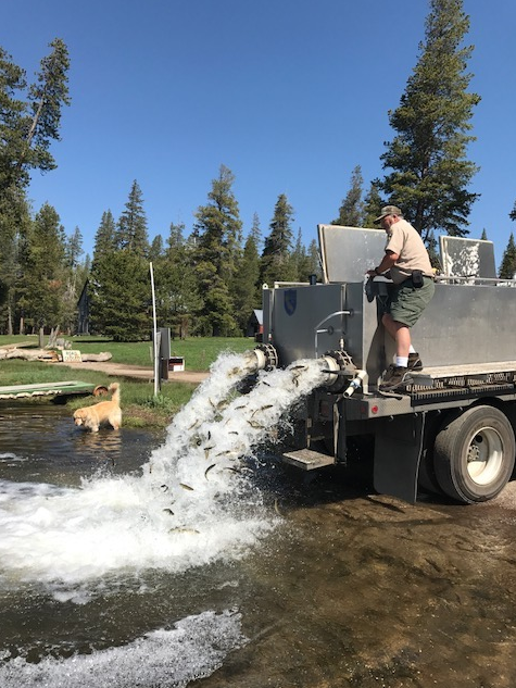 CAMPGROUND COUNTDOWN