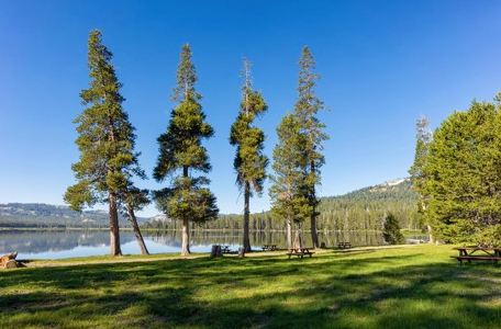 HAVE YOU BEEN TO WEBBER LAKE YET?