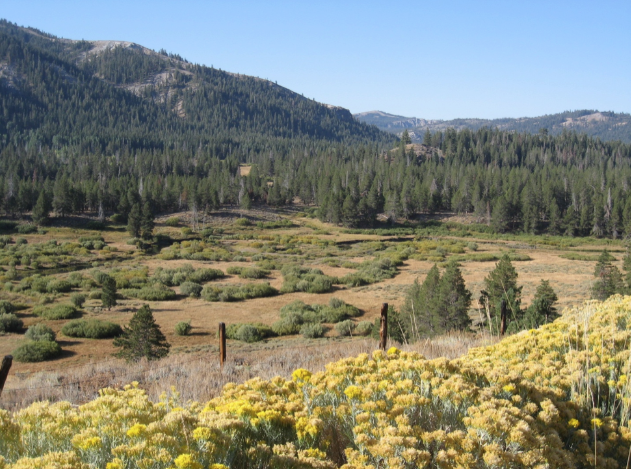 HIKE OF THE MONTH: PERAZZO MEADOWS