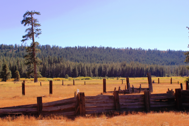 VAN NORDEN MEADOW NOW BELONGS TO THE PUBLIC!