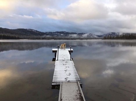 WEBBER LAKE CAMPGROUND RESERVATIONS ONLINE MARCH 1