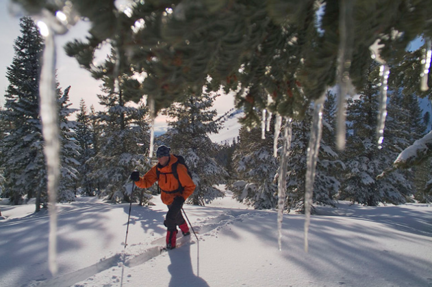 HIKE OF THE MONTH: TOURING COLDSTREAM VALLEY - A RETURN TO THE LAND TRUST’S BEGINNING.
