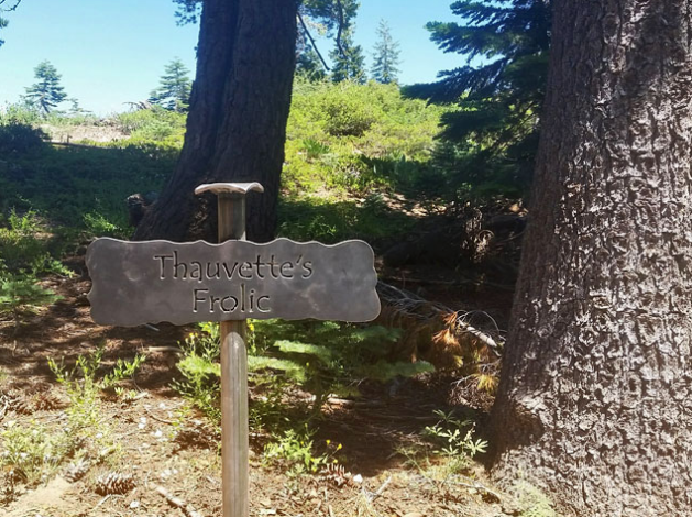 HIKE OF THE MONTH: THAUVETTE'S FROLIC