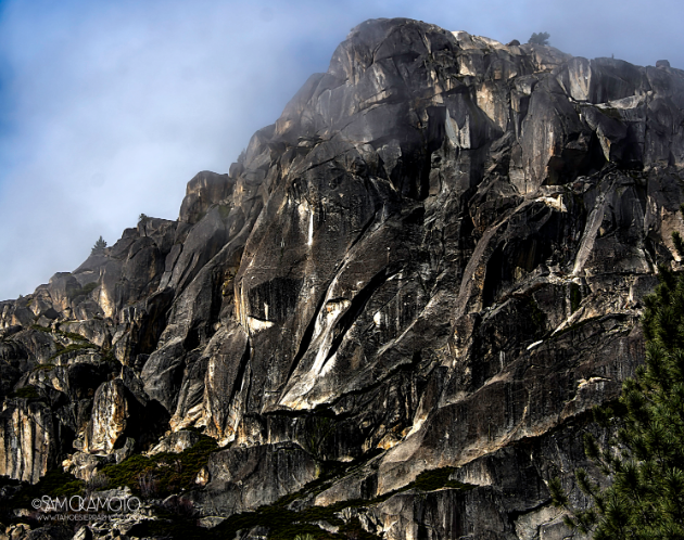 BLACK WALL TRAIL SEES SIGNIFICANT IMPROVEMENTS