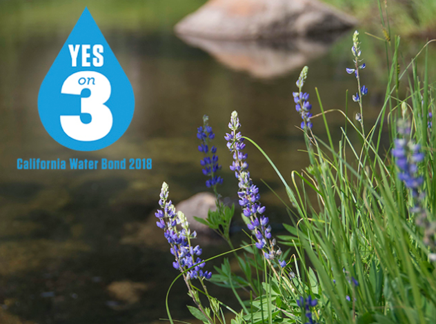 VOTE YES ON CALIFORNIA PROPOSITION 3
