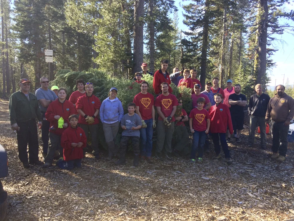BOY SCOUT TROOP 267 CUTTING CHRISTMAS TREES AT WEBBER LAKE