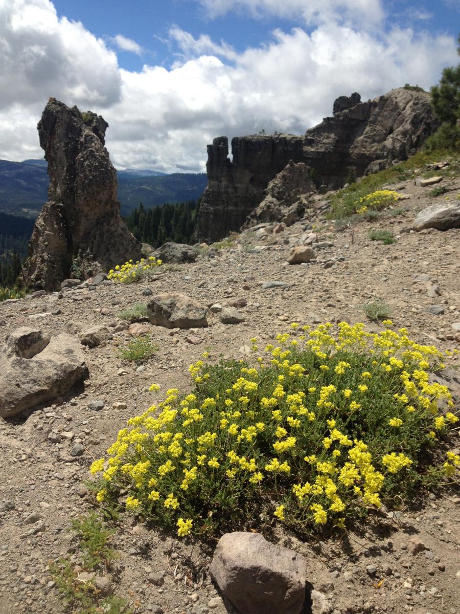hike2.jpeg