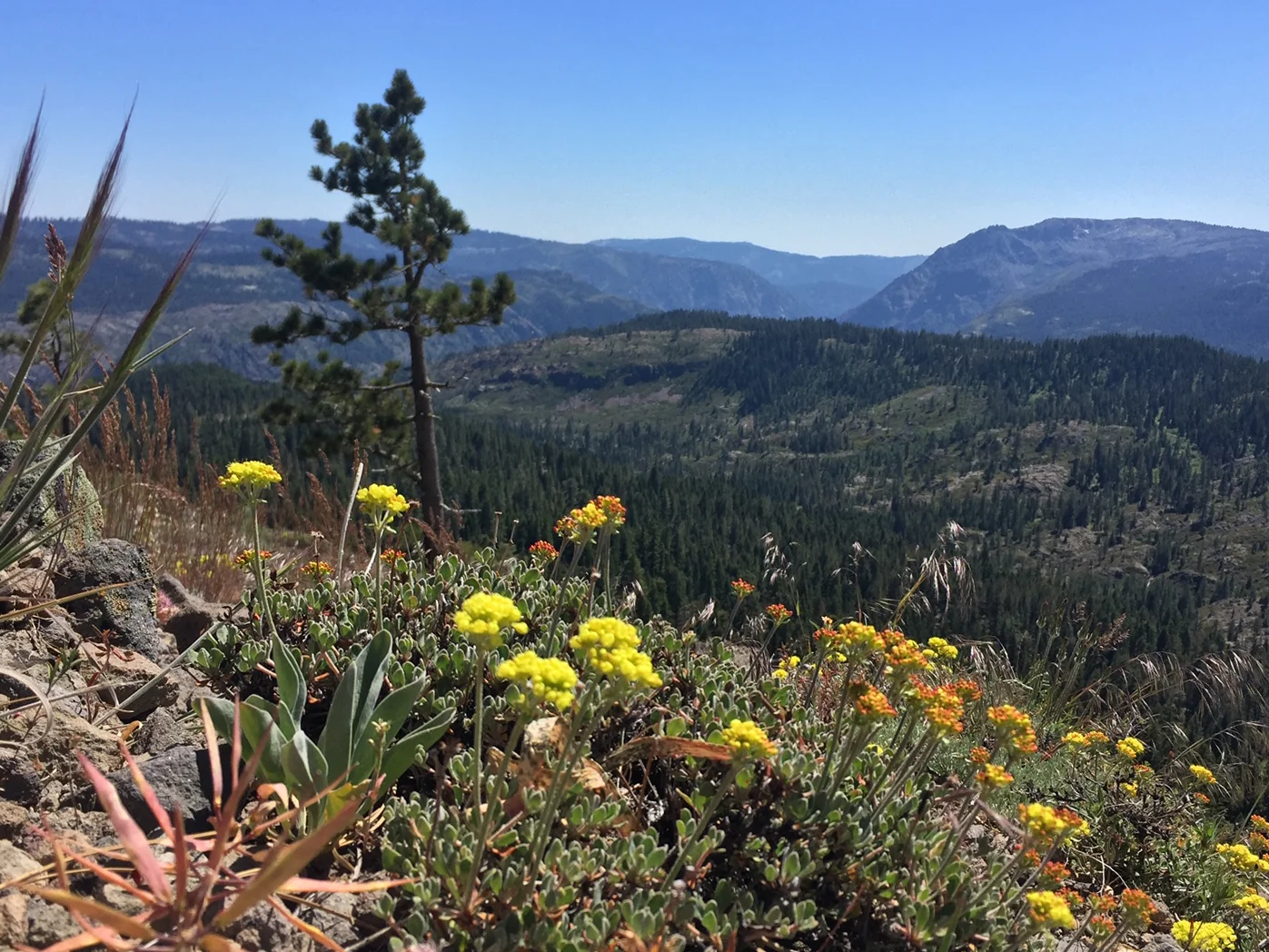 HIKE OF THE MONTH: SIERRA WATCH TRAIL