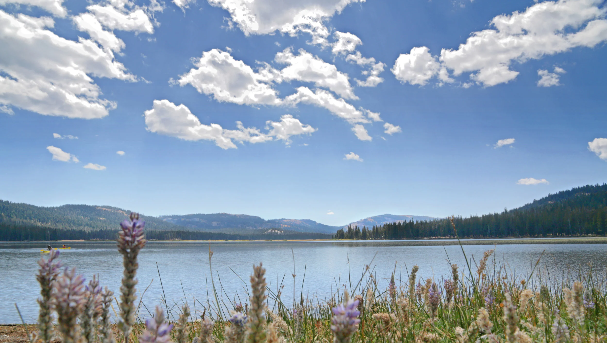 SPRING 2019 WEBBER LAKE UPDATE