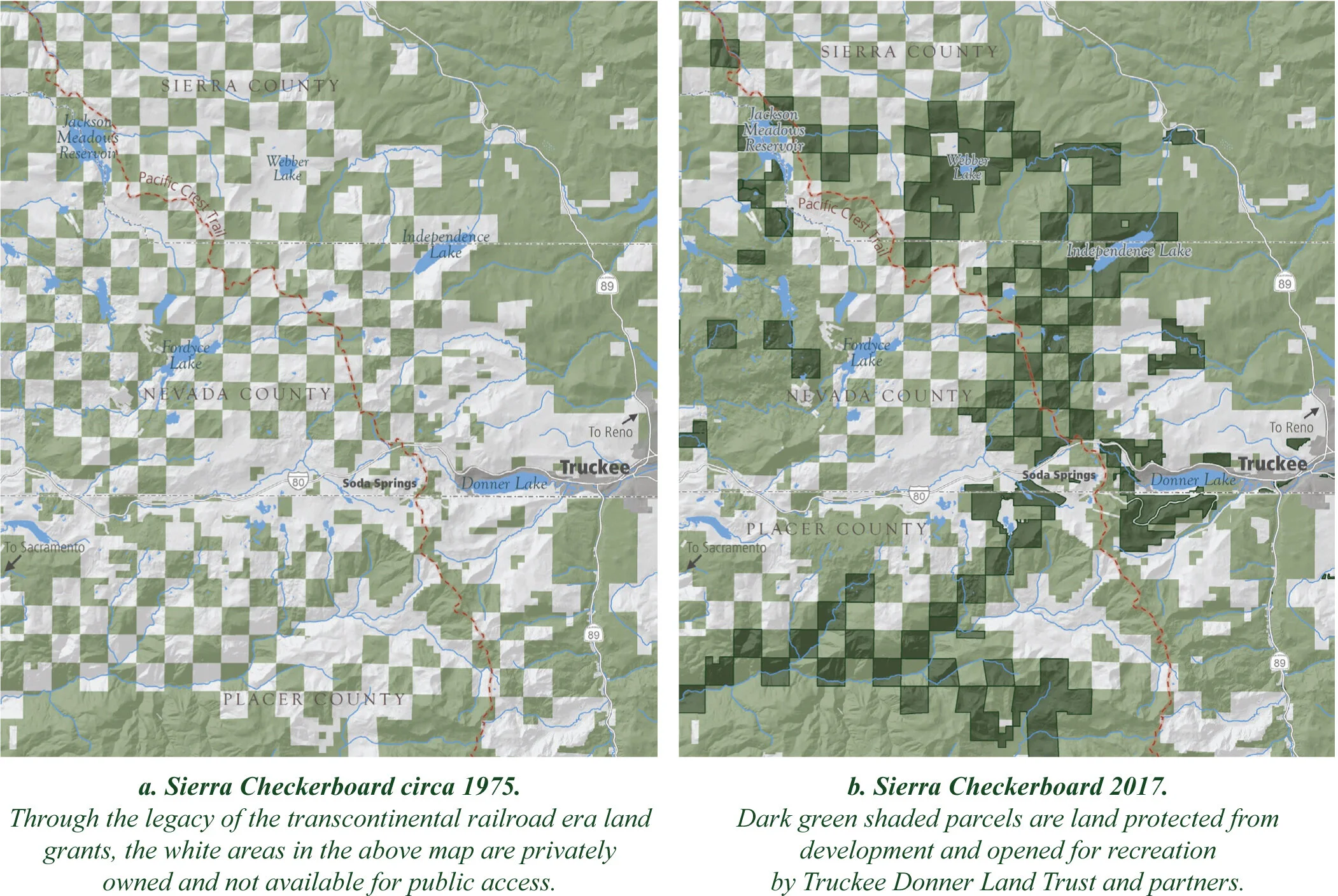 checker before after.jpg