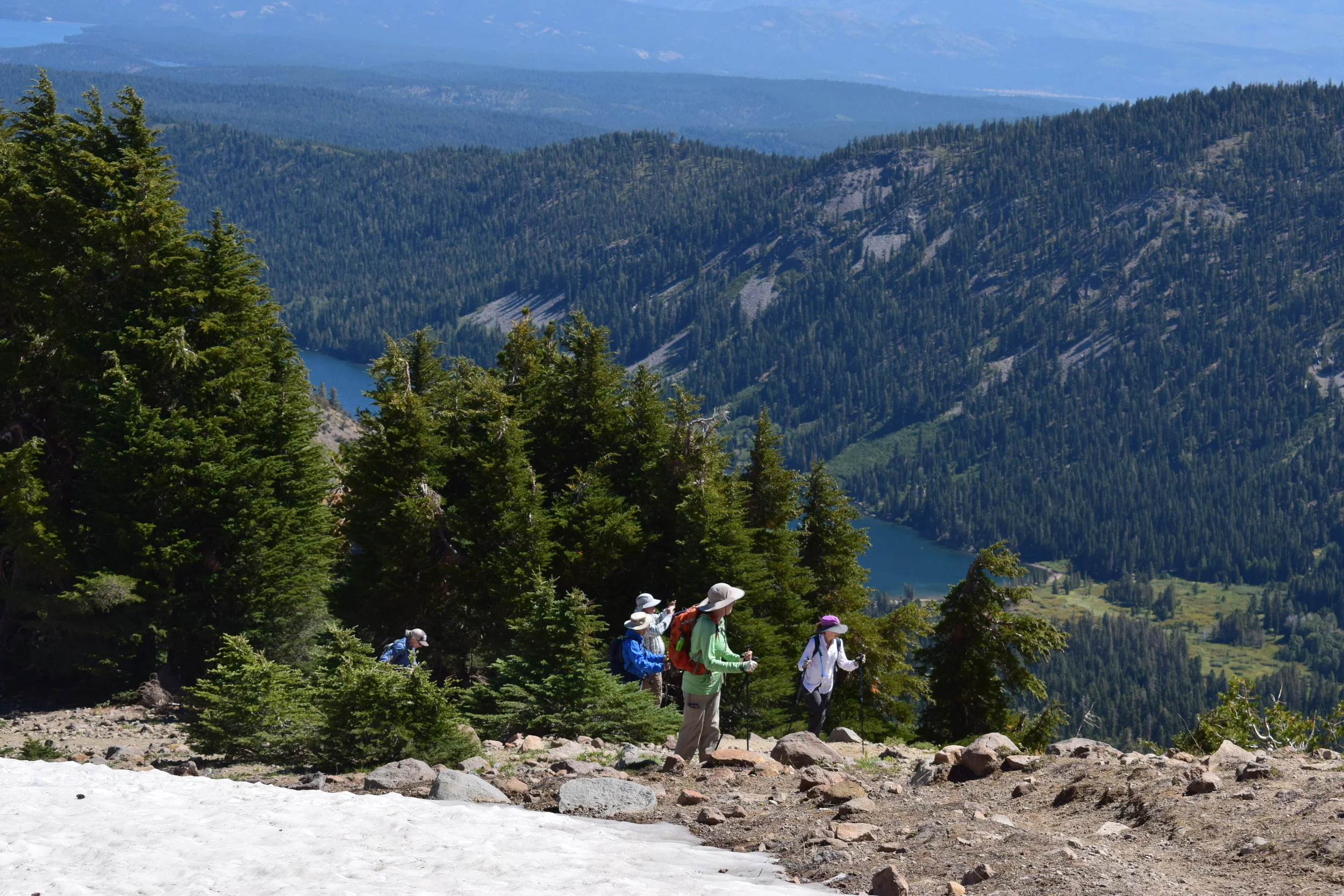 Thanks to Our Volunteer Docents!