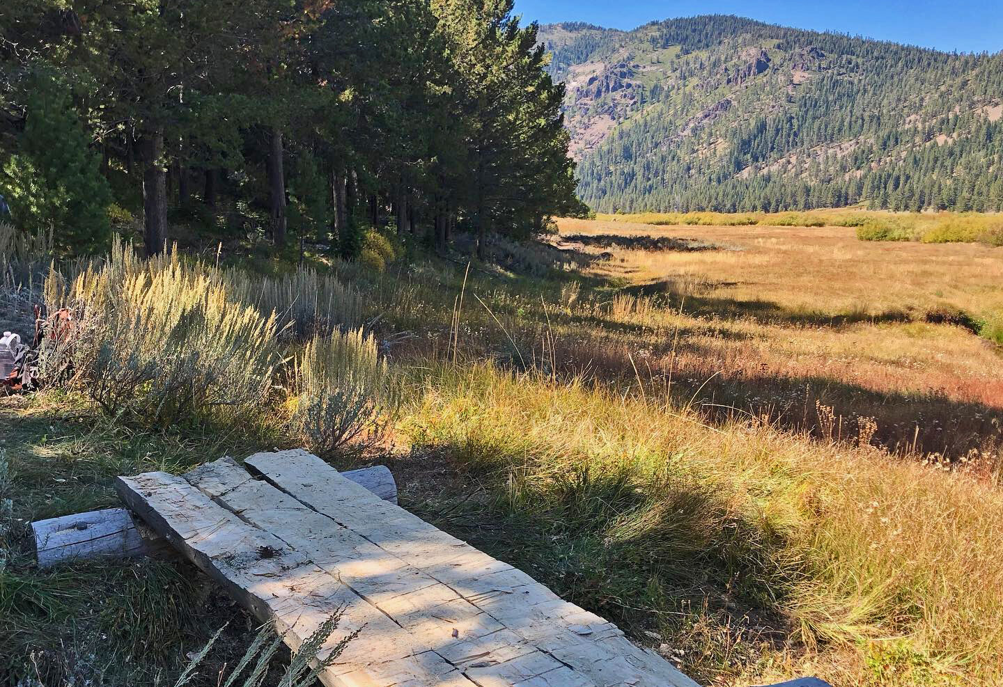 A test puncheon on the new trail, photo by Truckee Trails Foundation.