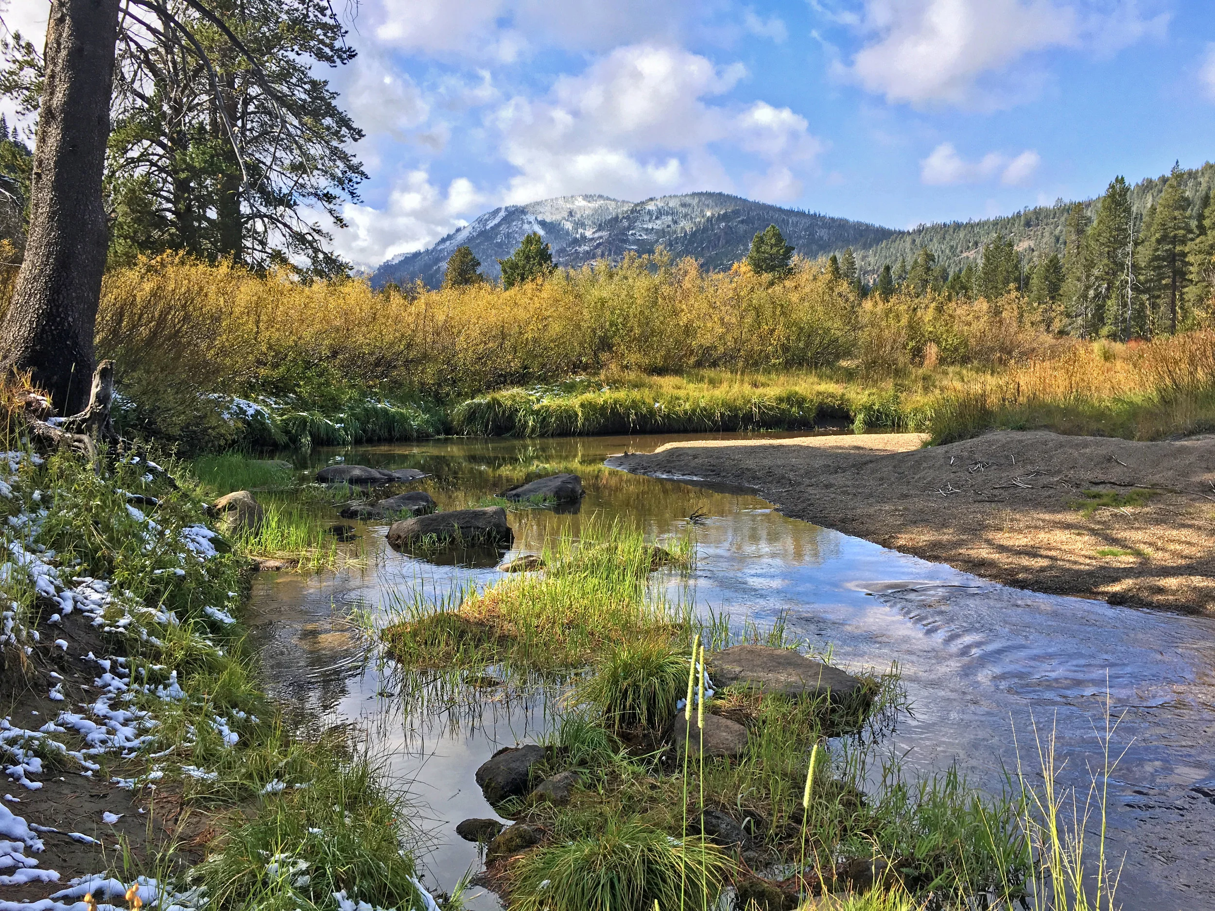 What the Land Trust's General Fund Does for You