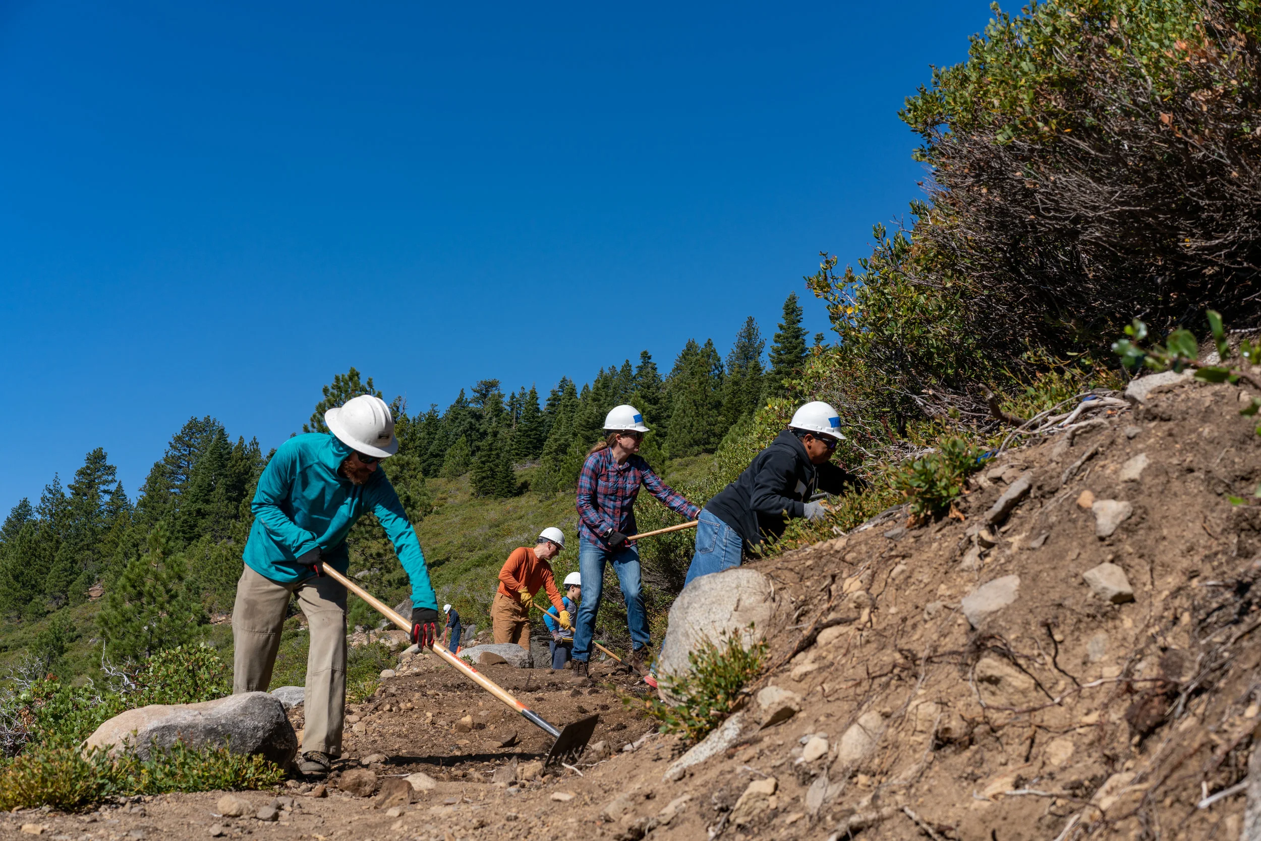 Thanks to our 2019 Volunteers!
