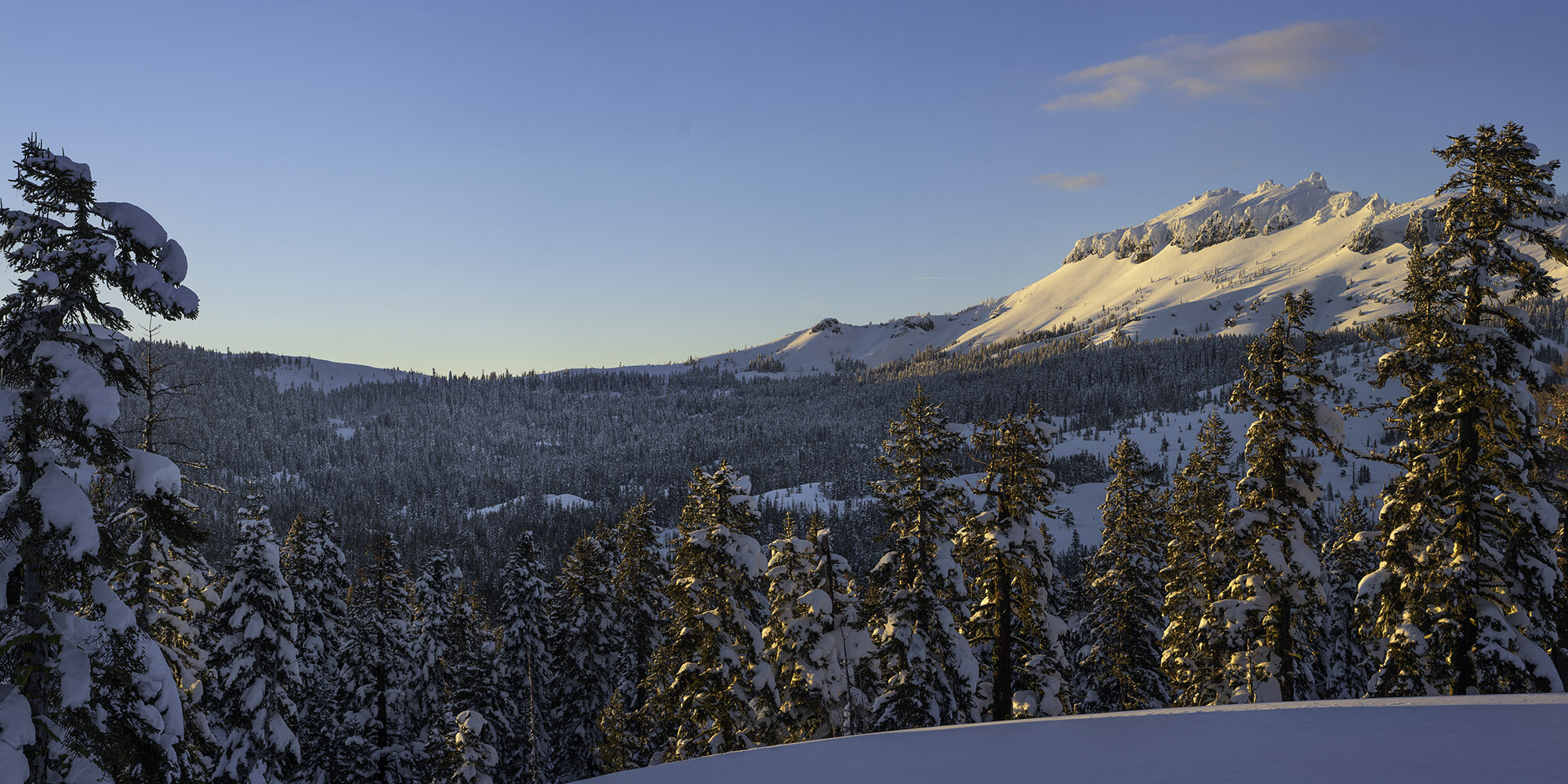 New Planned Giving Tools Coming